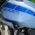 Ducati Darmah - 1980 - Ducati Decal, Gas Tank and Desmo Decal.