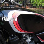 Yamaha RD250LC - 1985
