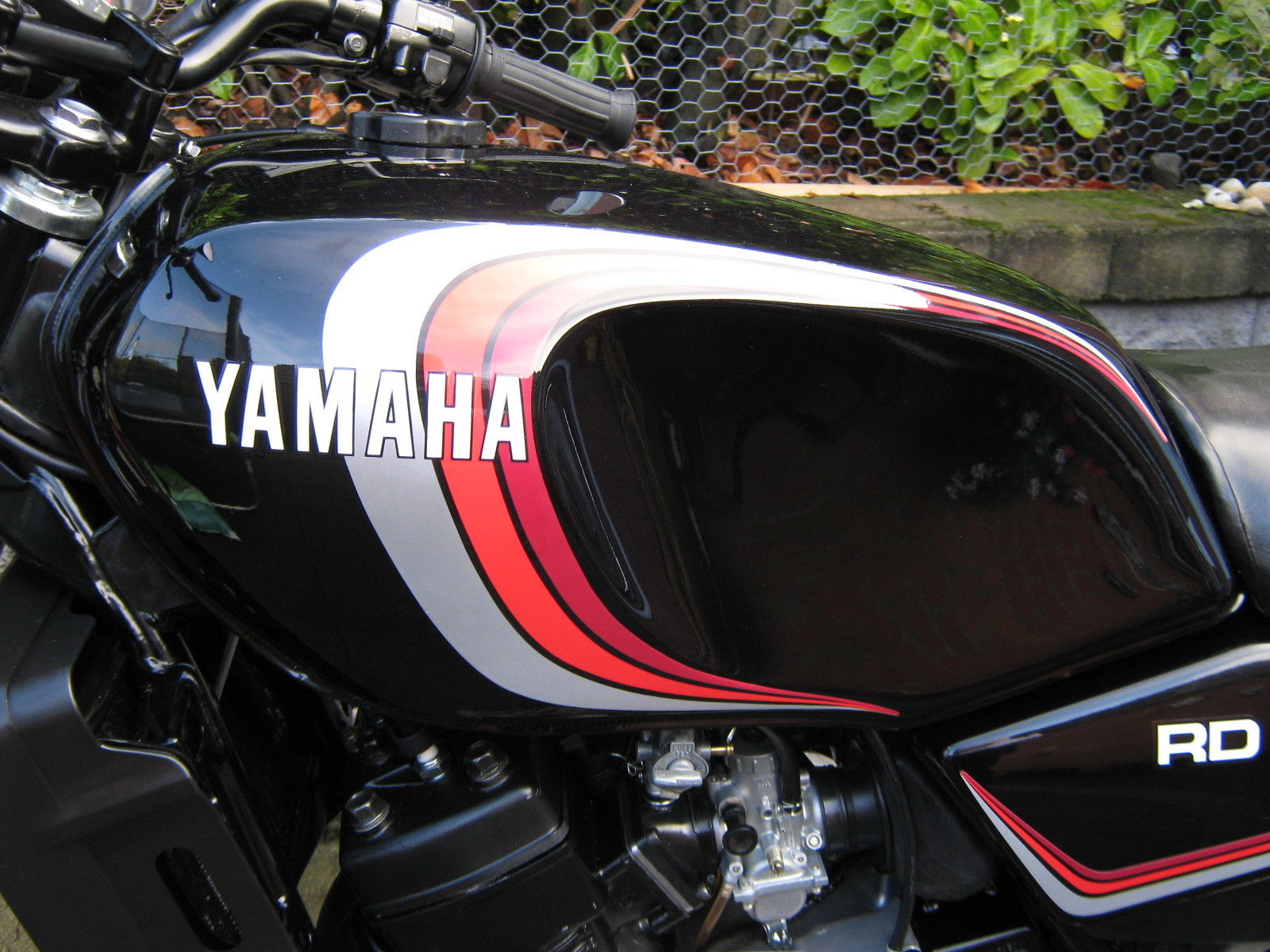 Yamaha RD250LC - 1985